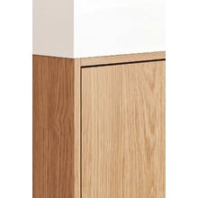 Mabel 460mm Wall Hung Single Vanity